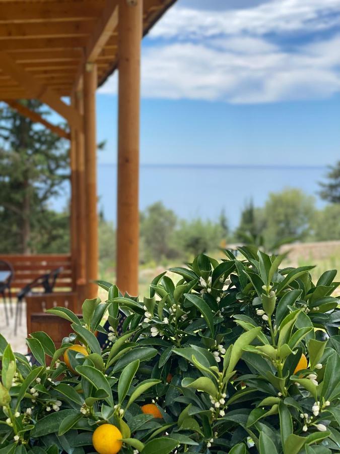 Summer Wine Boutique Hotel Dhermi Exterior photo